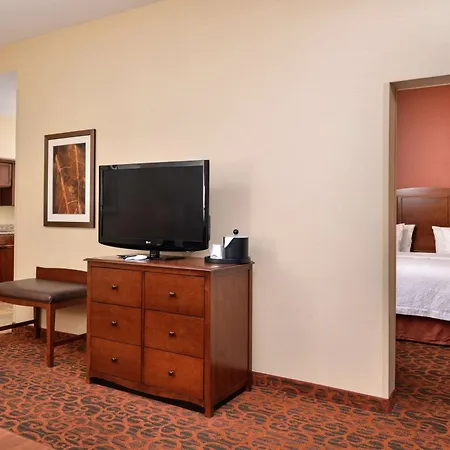 Hampton Inn Idaho Falls / Airport-3
